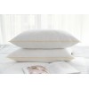 Eco friendly manufacturer make all better cotton 2PK color piping pillow